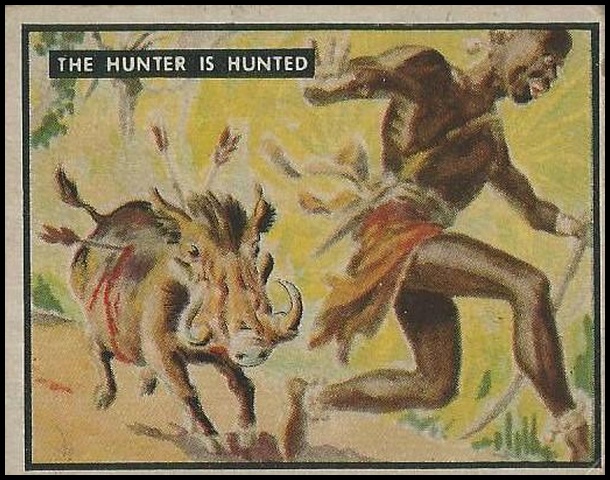 35 The Hunter Is Hunted